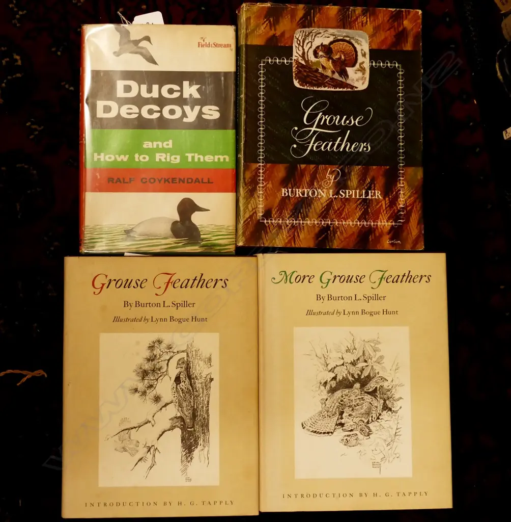 A collection of books relating to game Image 1++