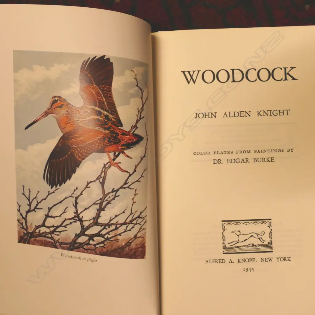 A collection of books relating to game Image 1++