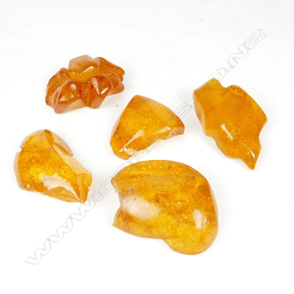 Five polished kauri gum nuggets Image 1++