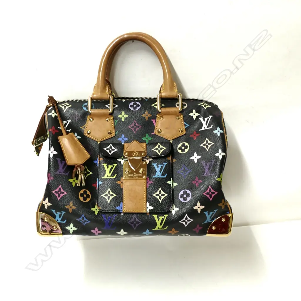 An authentic Louis Vuitton Multicolour Speedy 30 handbag Image 1++