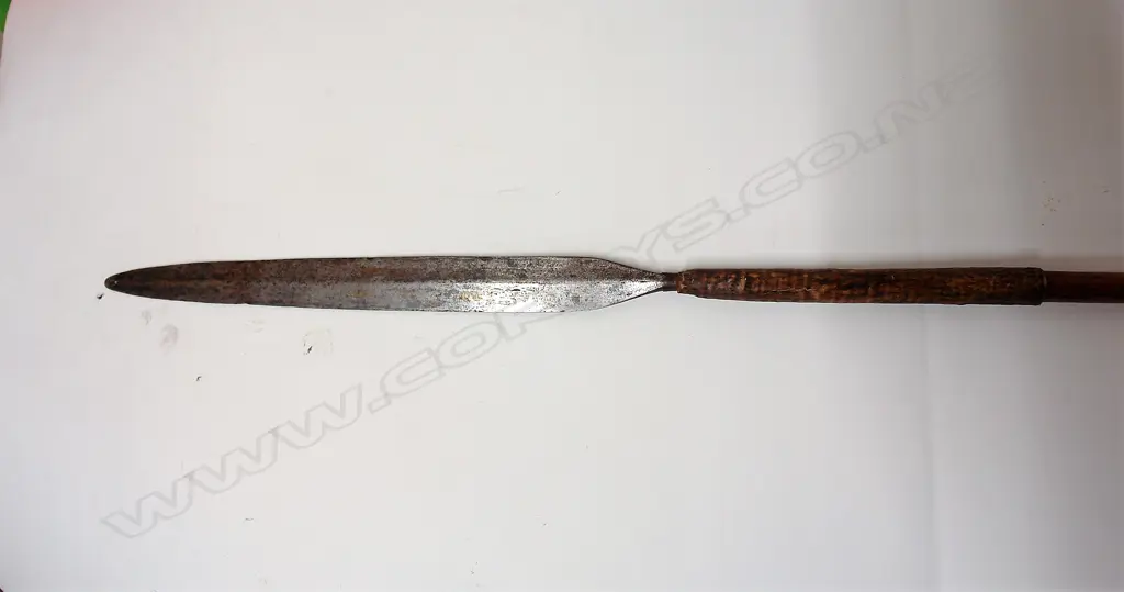 An old African Zulu spear Image 1++