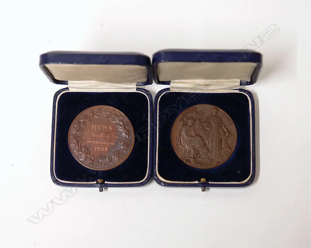 Two 1930's Hutt Valley Horticultural Society bronze medals Image 1++