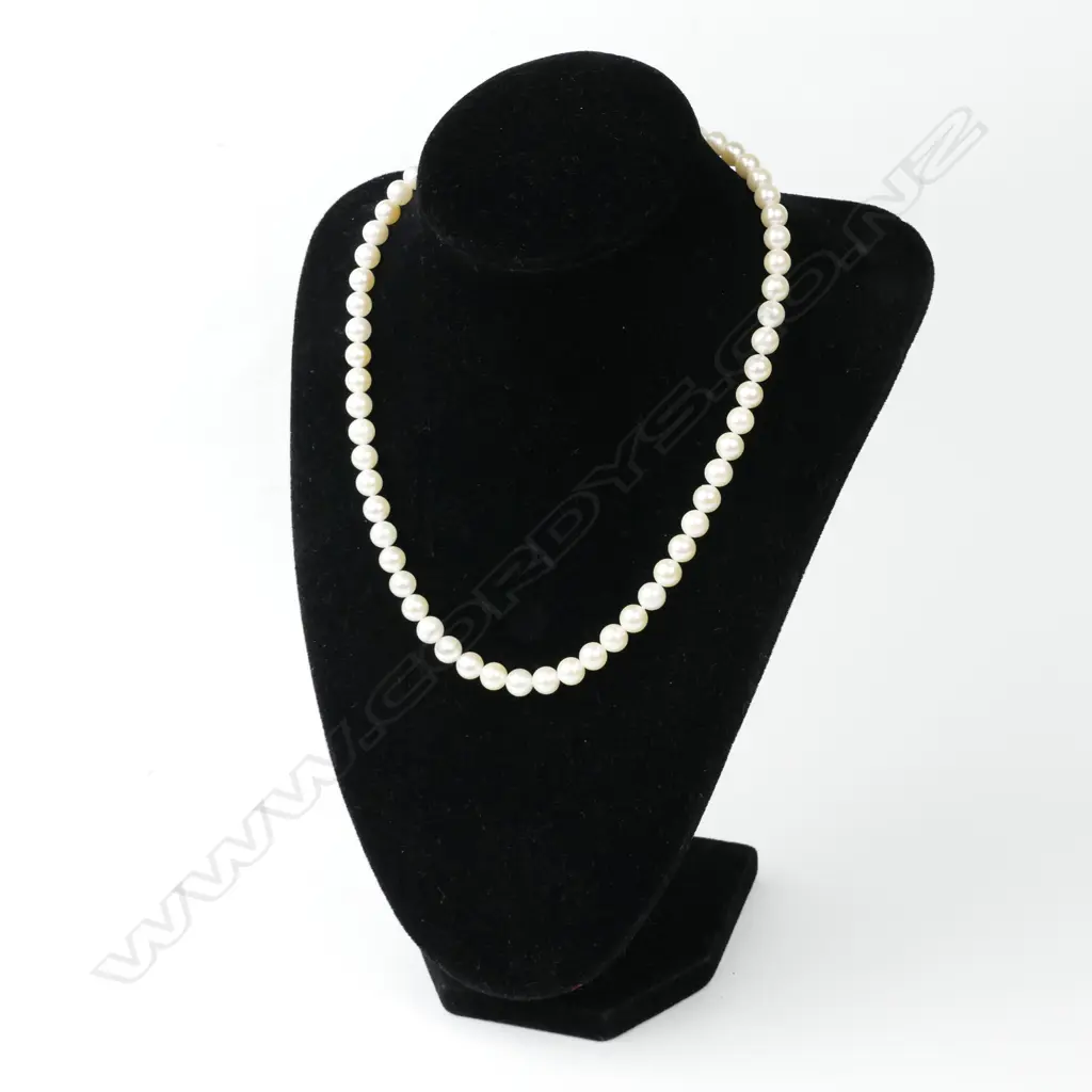 A single strand Akoya cultured pearl necklace Image 1++