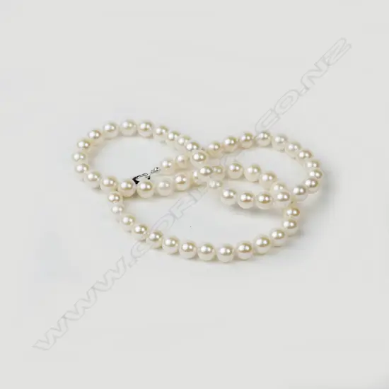 A single strand Akoya cultured pearl necklace