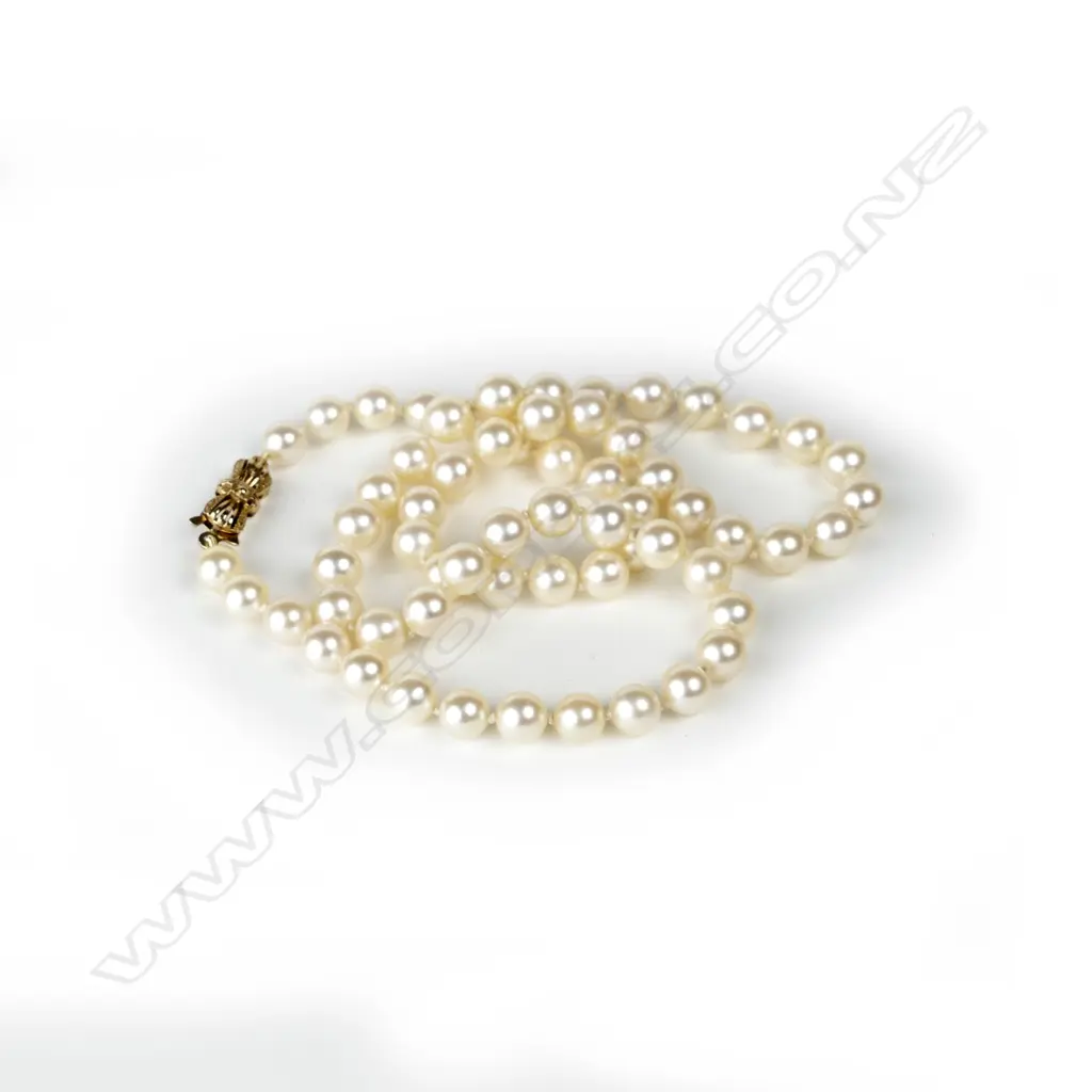 A single strand cultured pearl necklace Image 1++