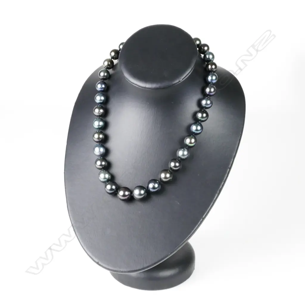 A single strand Tahitian black pearl necklace Image 1++