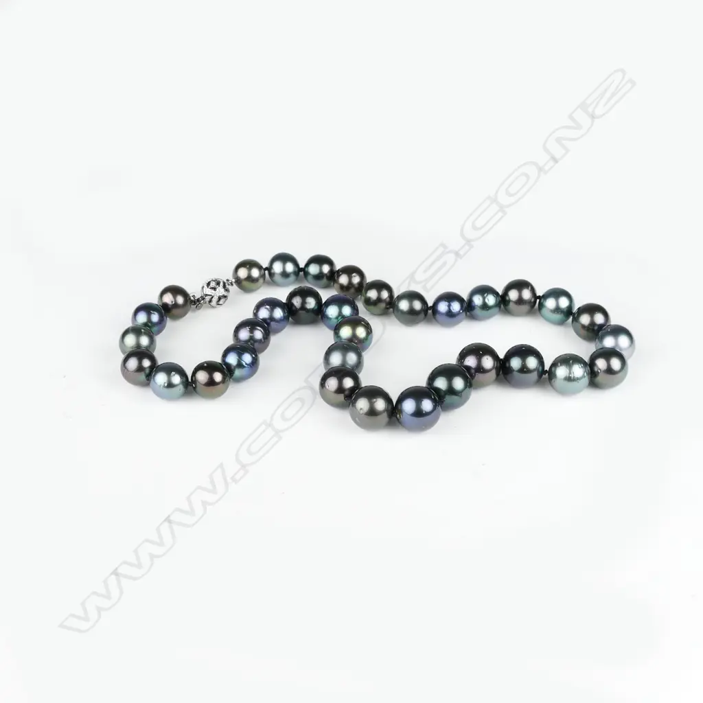 A single strand Tahitian black pearl necklace Image 1++