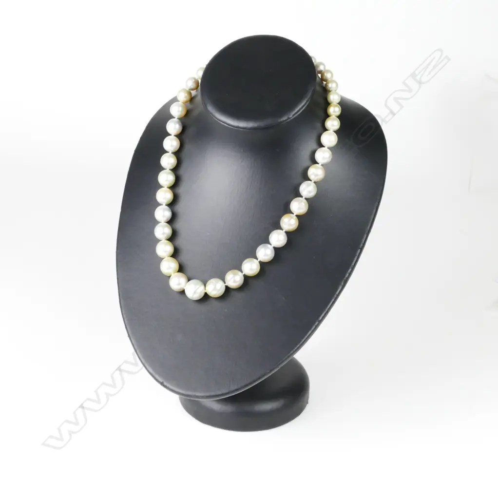 A single strand South Sea pearl necklace Image 1++