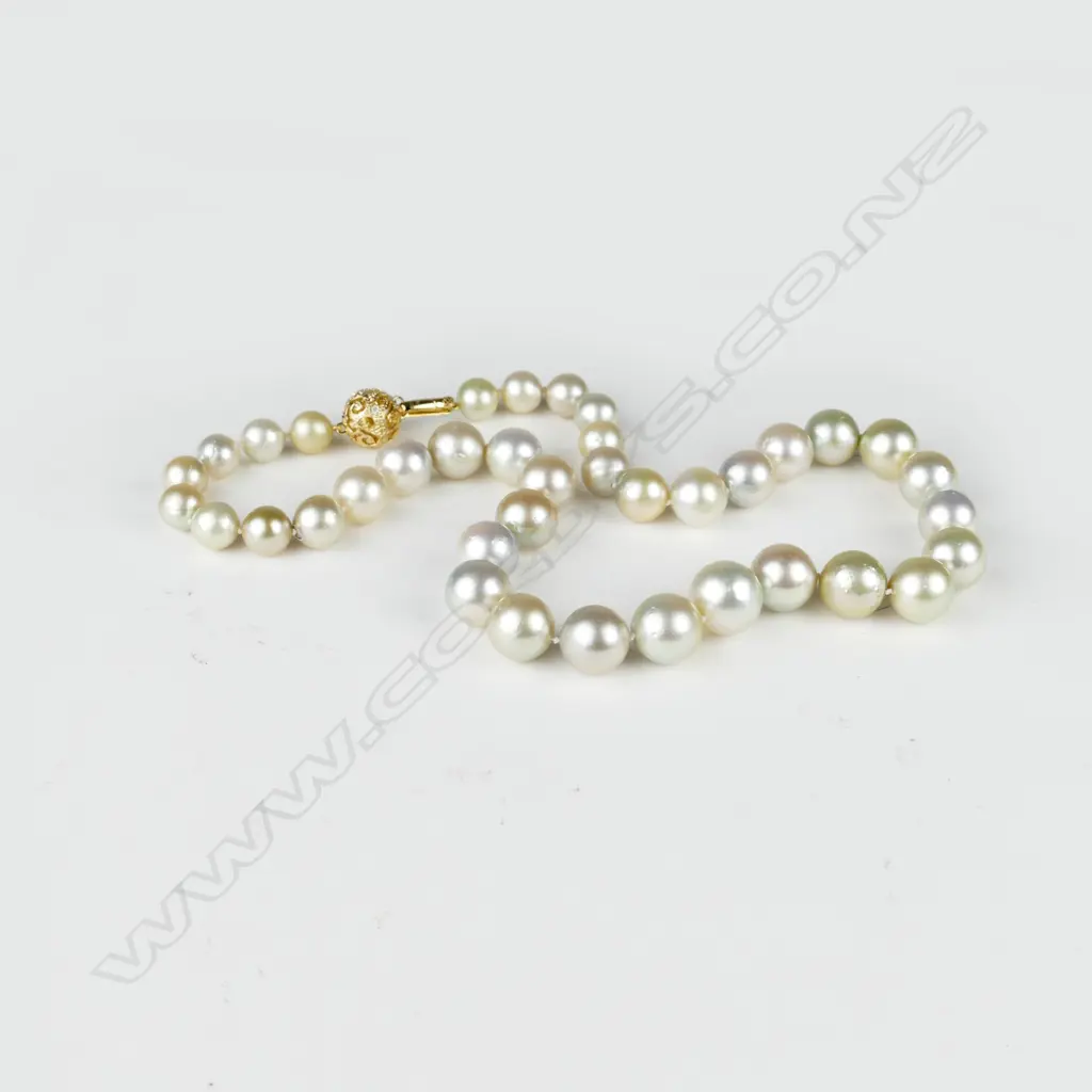 A single strand South Sea pearl necklace Image 1++