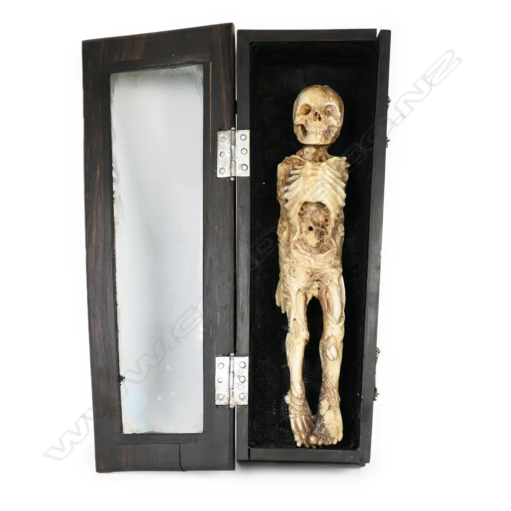 A vintage 'Memento Mori', Image 1++