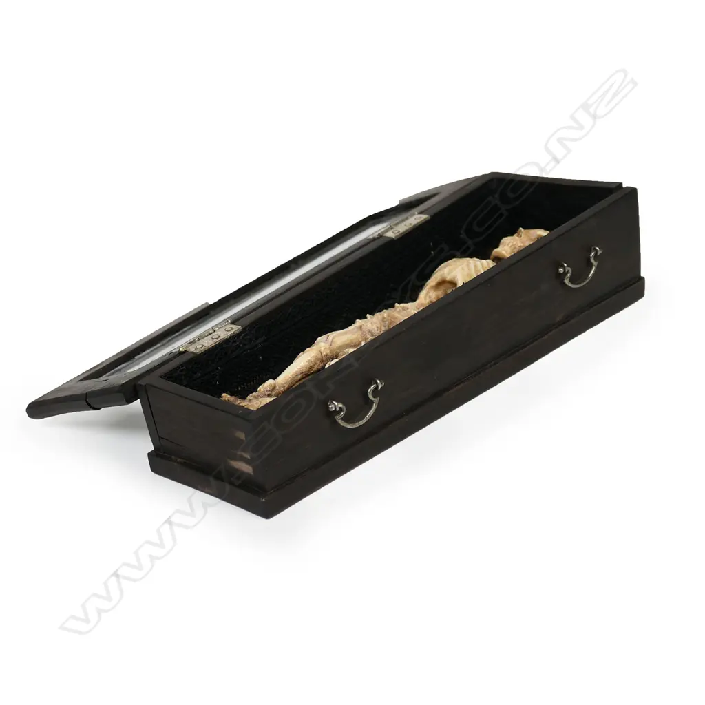 A vintage 'Memento Mori', Image 1++