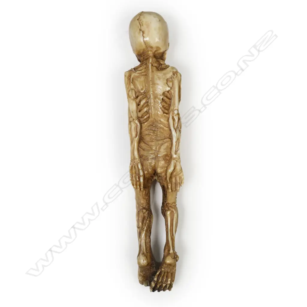 A vintage 'Memento Mori', Image 1++