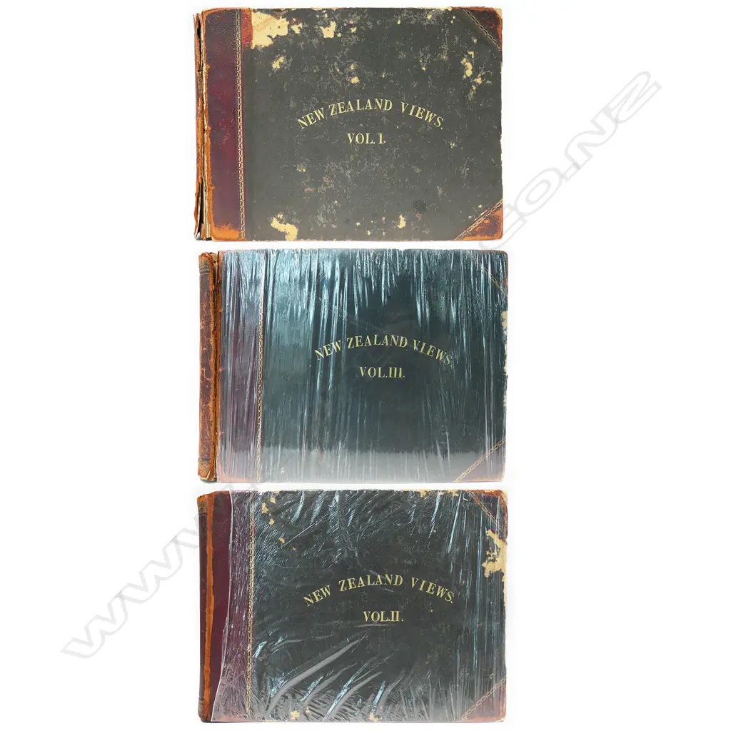 Set of three volumes Burton Brothers (Dunedin) photographs 'New Zealand Views', Image 1++