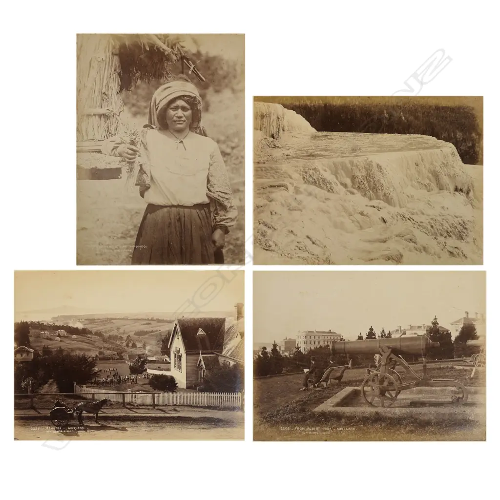 Set of three volumes Burton Brothers (Dunedin) photographs 'New Zealand Views', Image 1++