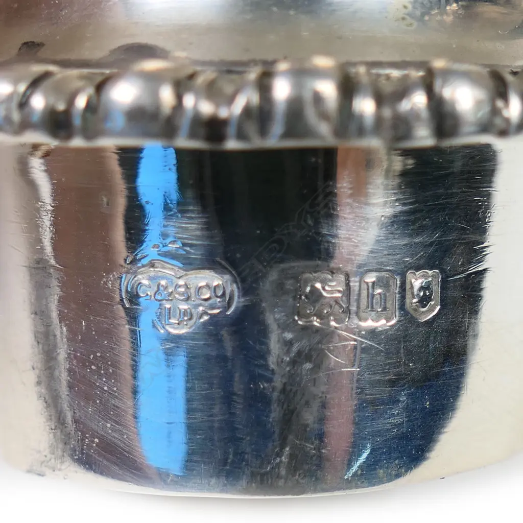 Regency period silver sugar castor, Image 1++