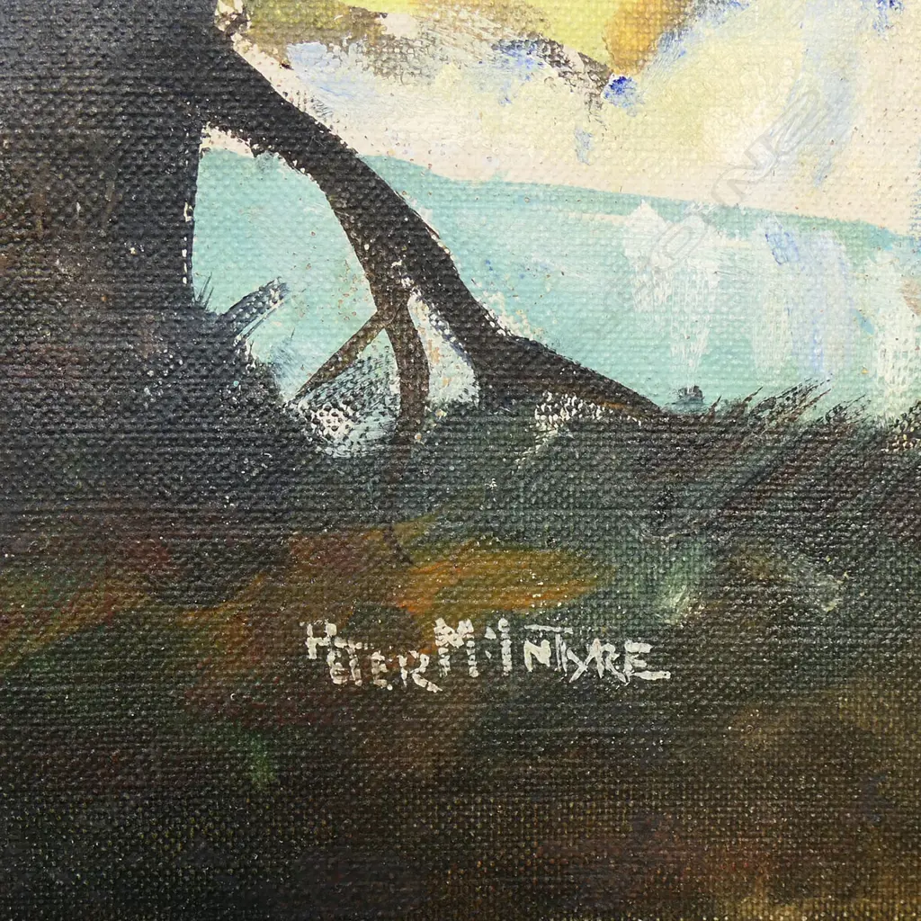 Peter McIntyre Image 1++