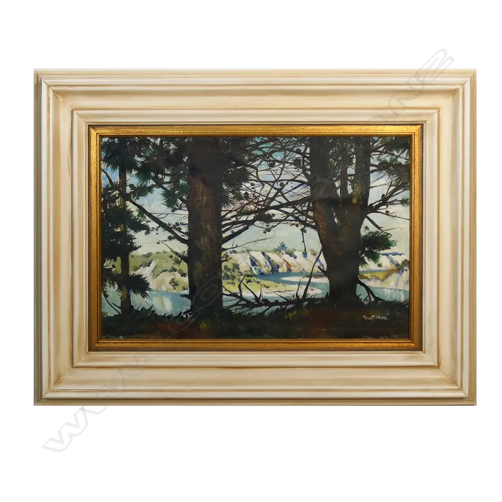 Peter McIntyre Image 1++