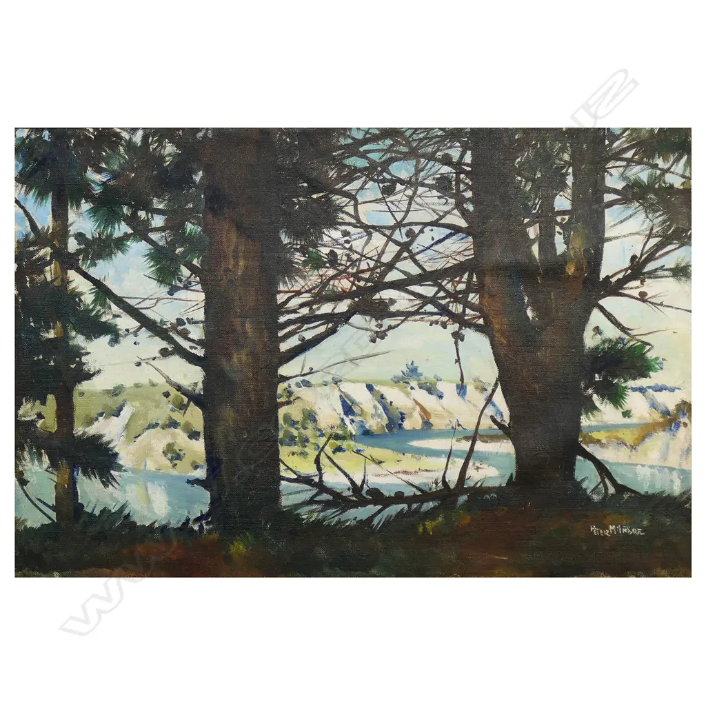 Peter McIntyre Image 1++