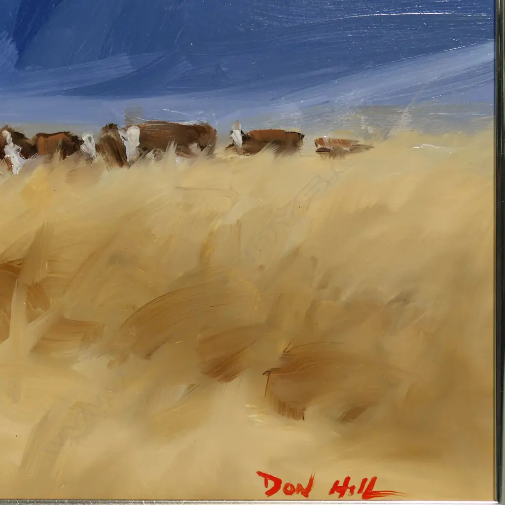 Don Hill (NZ) 'Head Count South Is. High Country', Image 1++