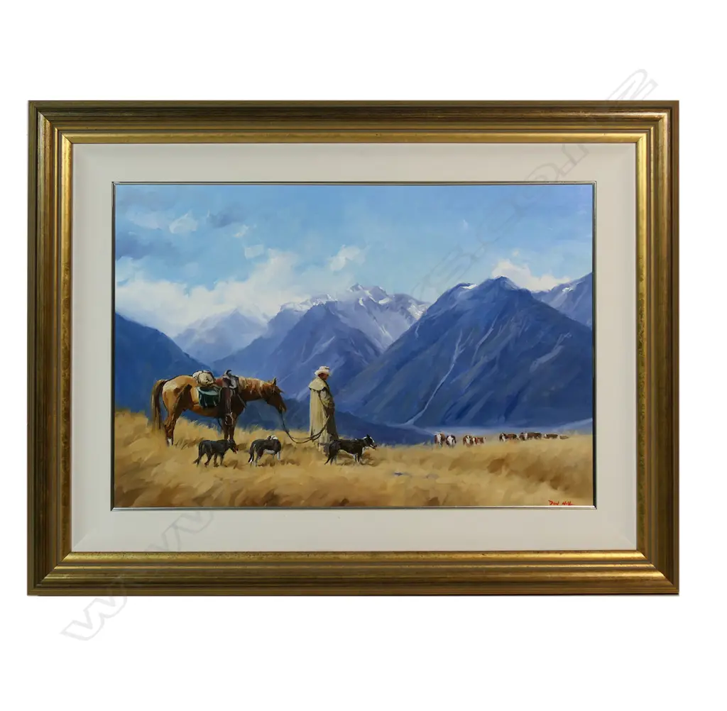 Don Hill (NZ) 'Head Count South Is. High Country', Image 1++