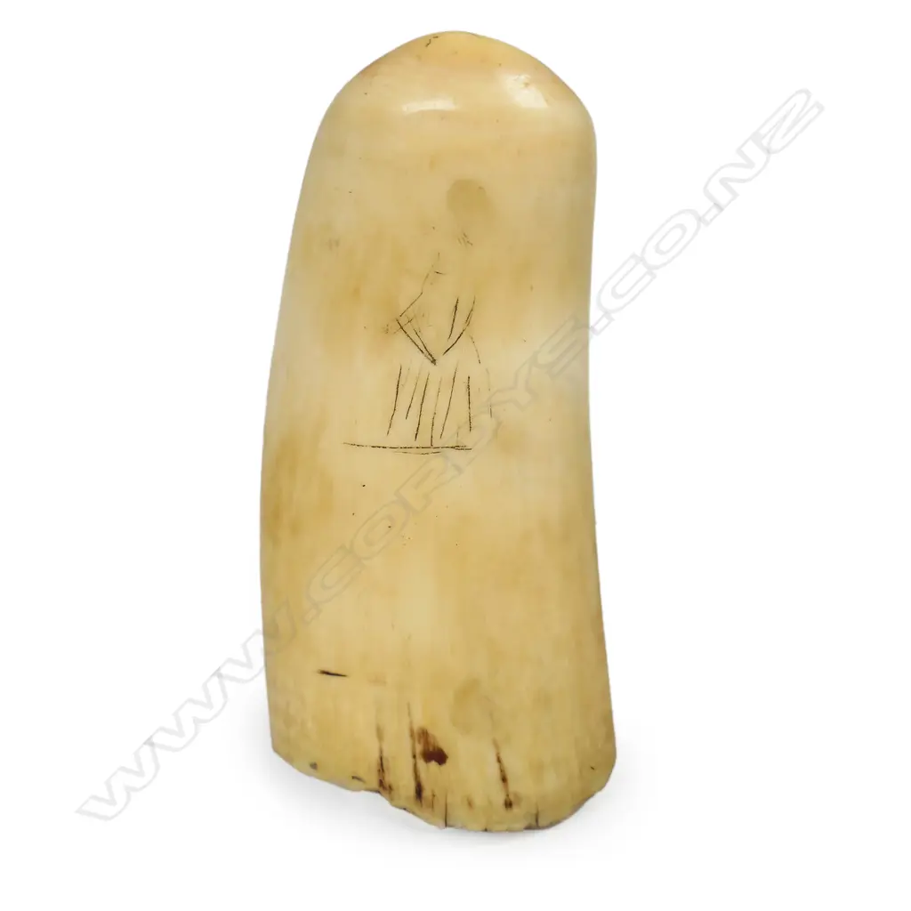 A 19thC scrimshaw whales tooth, Image 1++