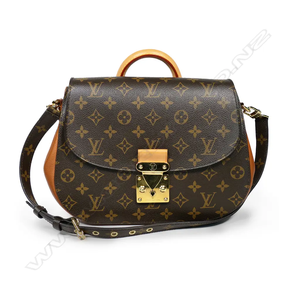 Louis Vuitton 'Eden' MM Mono Camel hand bag, Image 1++