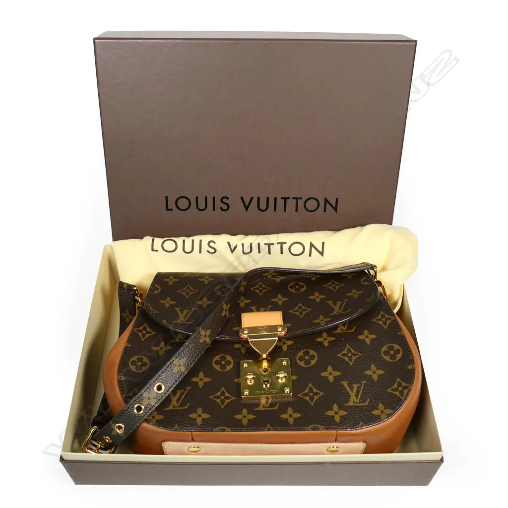 Louis Vuitton 'Eden' MM Mono Camel hand bag, Image 1++