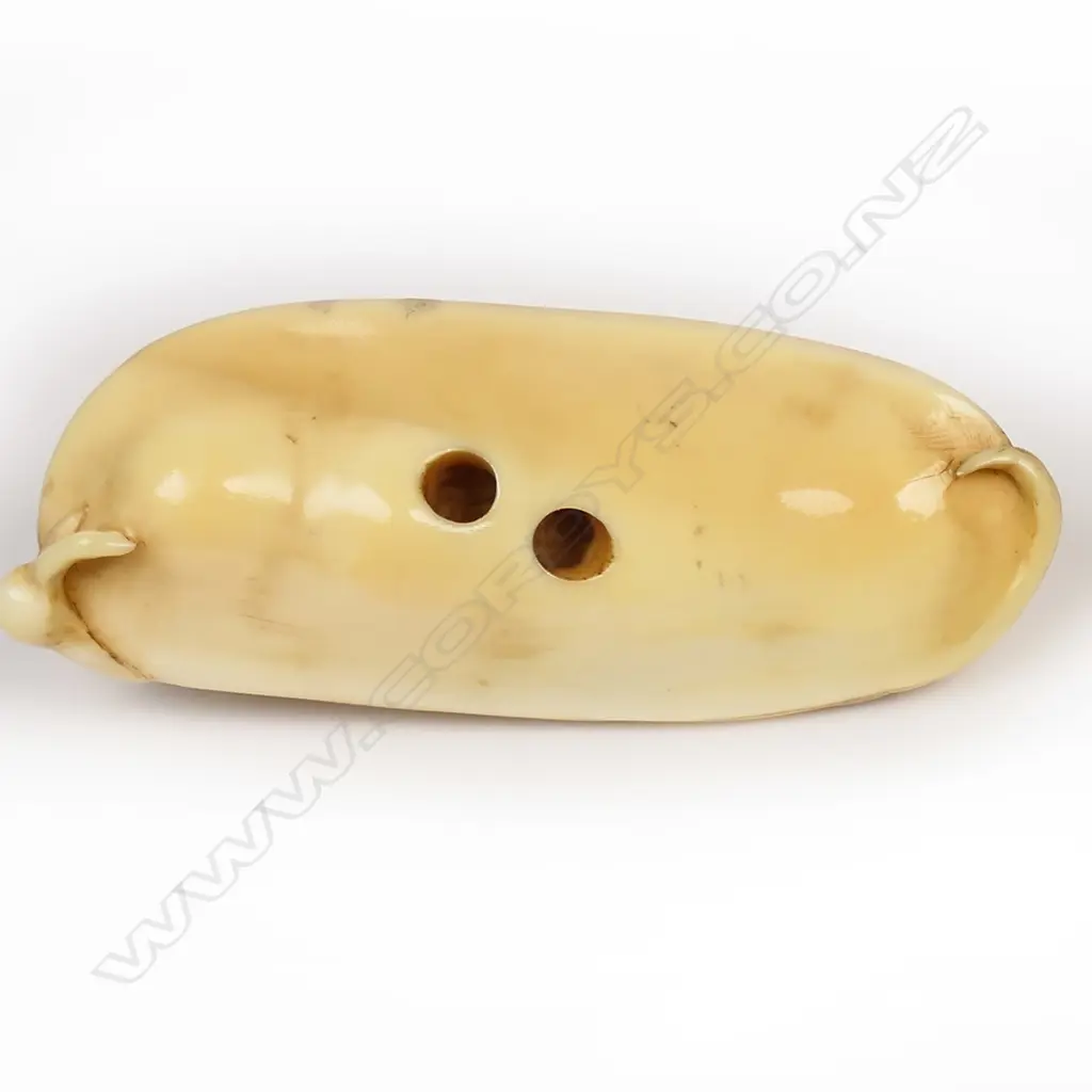 A 19thC ivory netsuke study of a cicada, Image 1++