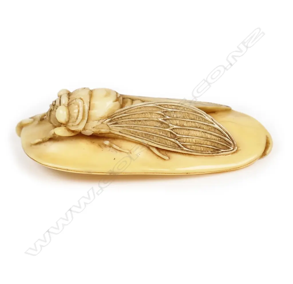 A 19thC ivory netsuke study of a cicada, Image 1++