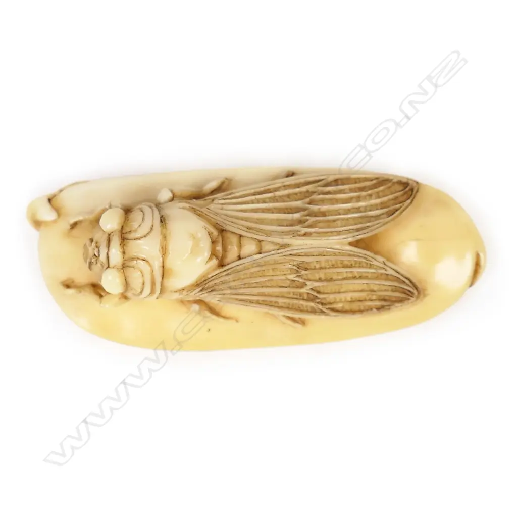 A 19thC ivory netsuke study of a cicada, Image 1++