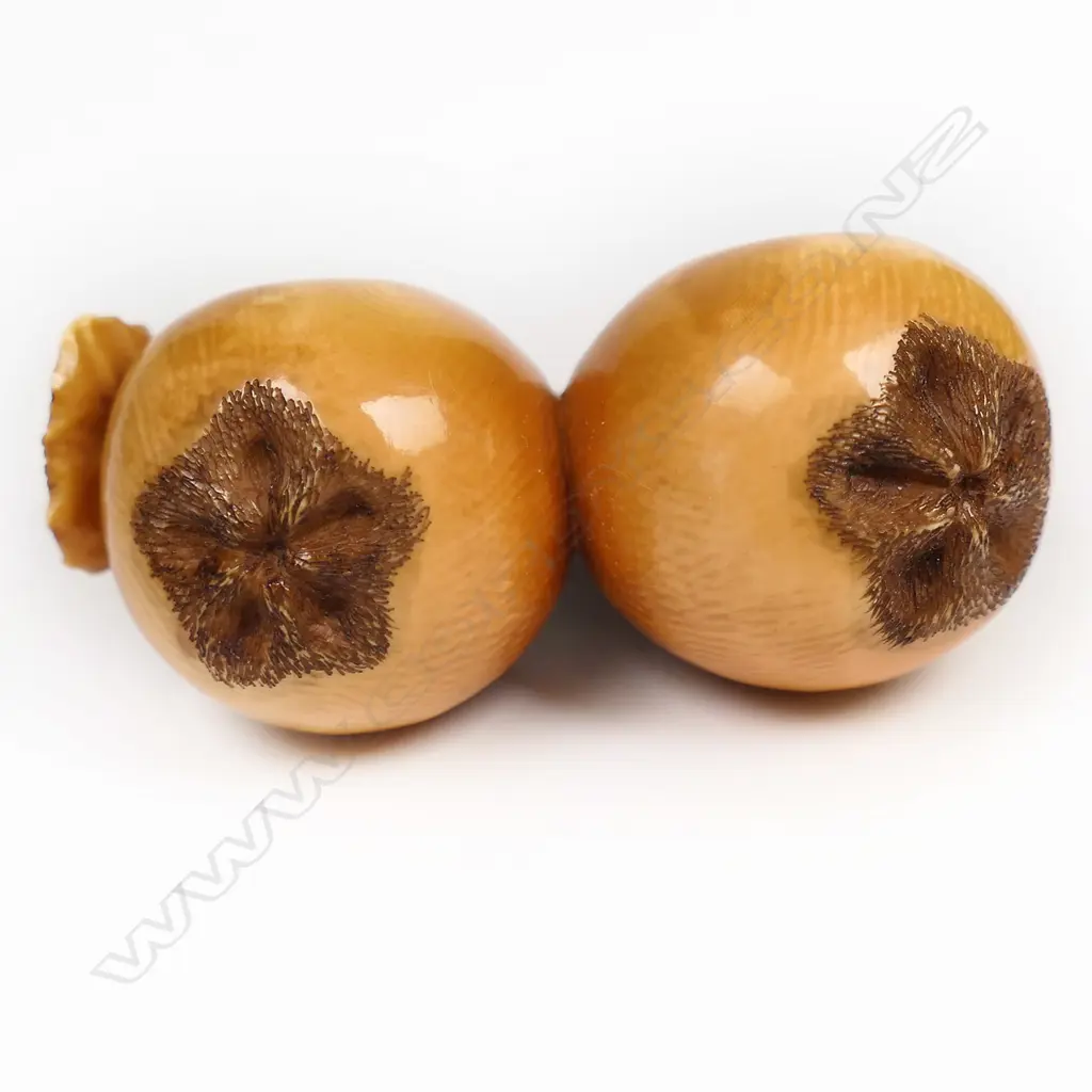 A 19thC ivory netsuke of a group of biwa fruit, Image 1++
