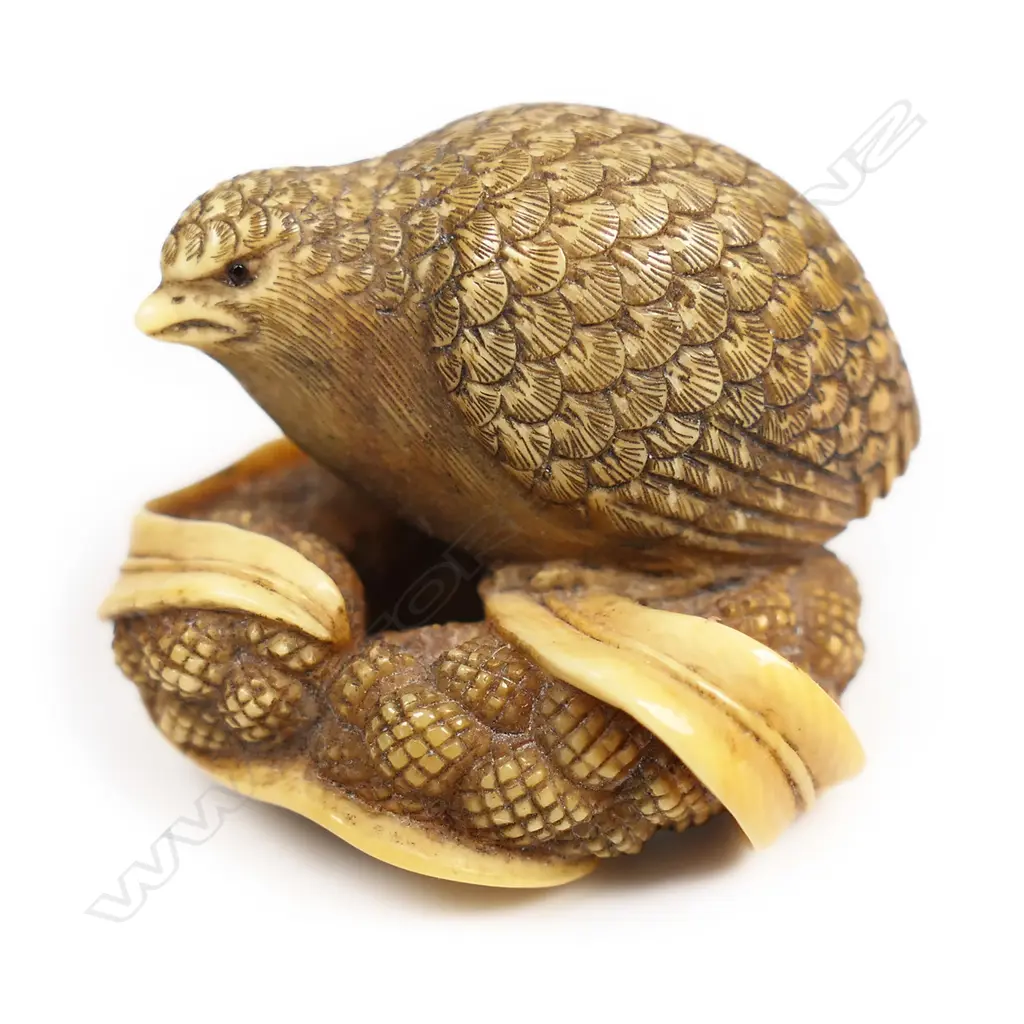A late 19thC ivory netsuke study of a quail, Image 1++