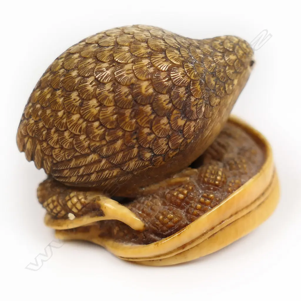 A late 19thC ivory netsuke study of a quail, Image 1++