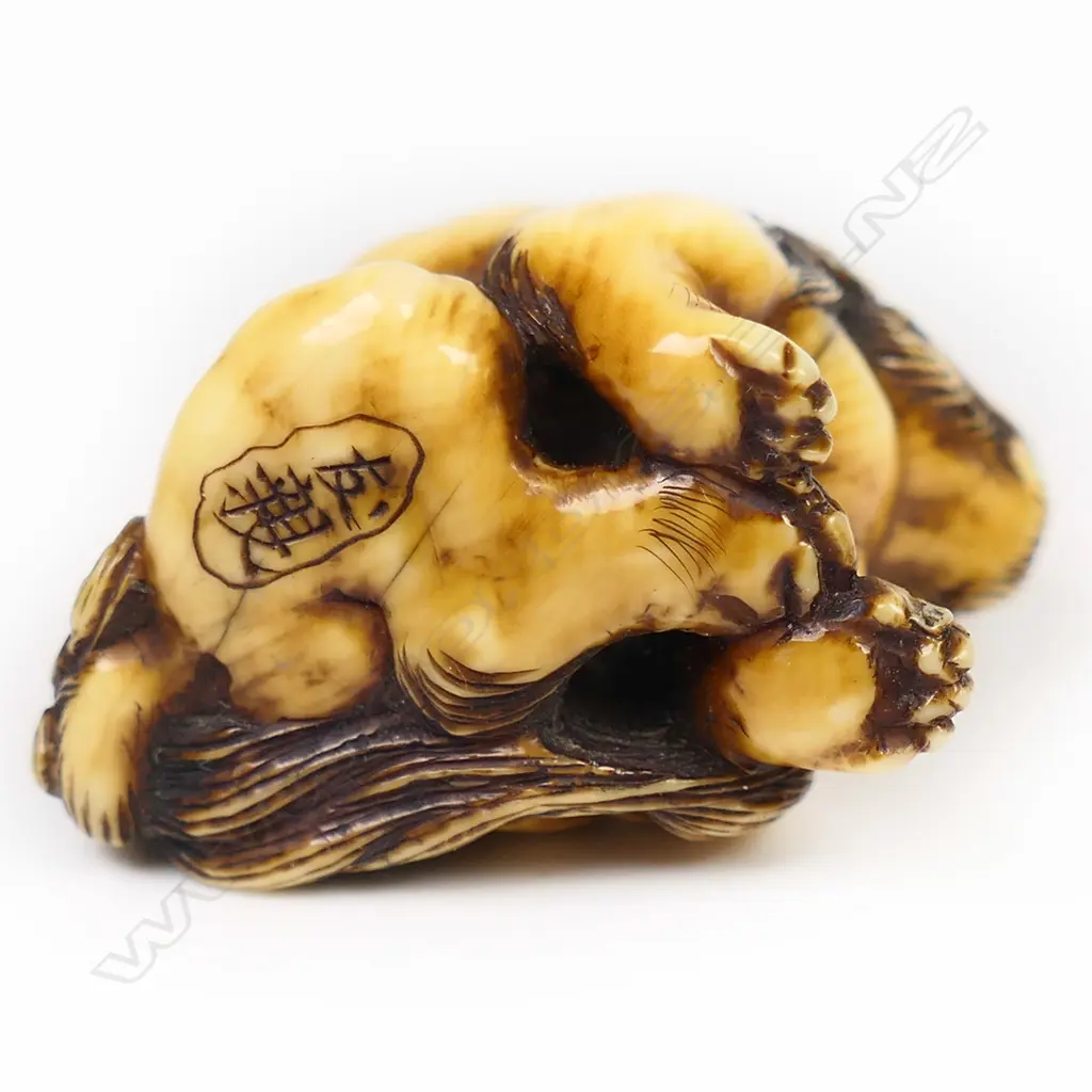 A 19thC ivory netsuke study of a seated shishi, Image 1++