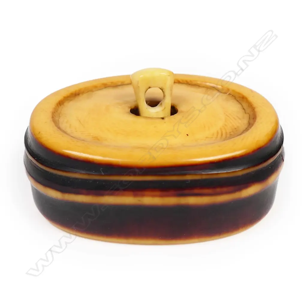 A 19thC stained ivory netsuke study of a bamboo section, Image 1++