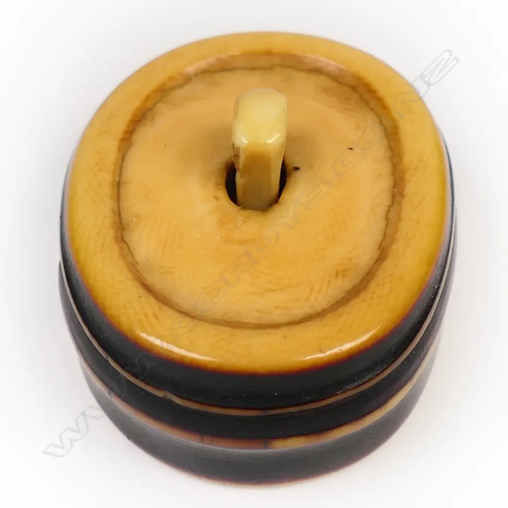 A 19thC stained ivory netsuke study of a bamboo section, Image 1++