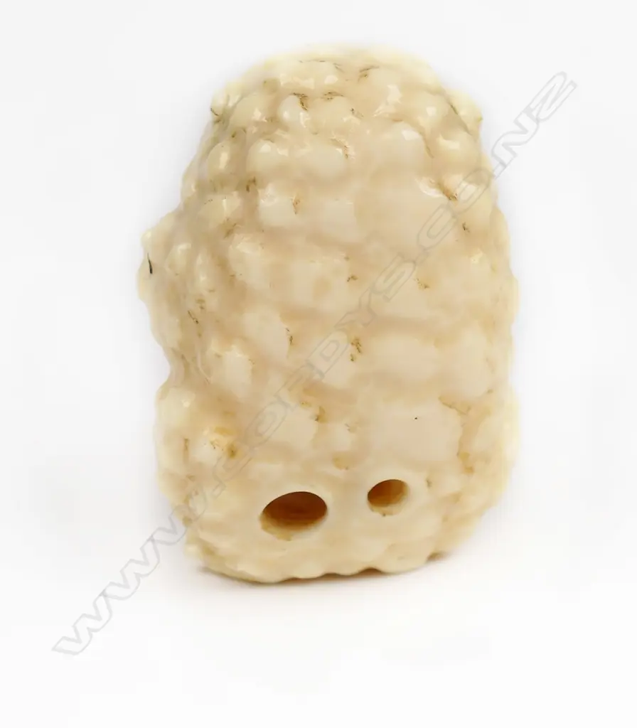 An ivory netsuke as a horny toad, Image 1++