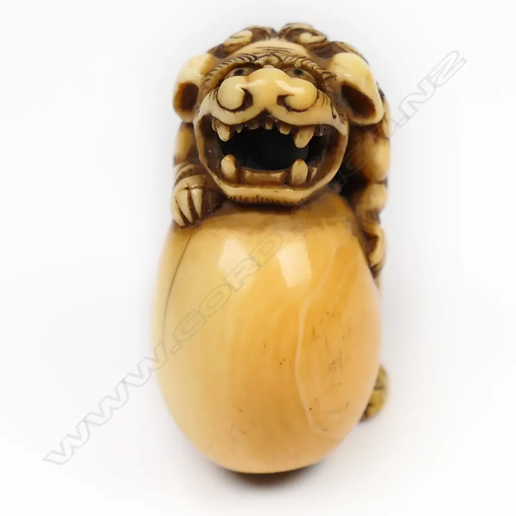 An old ivory netsuke of a shishi, Image 1++