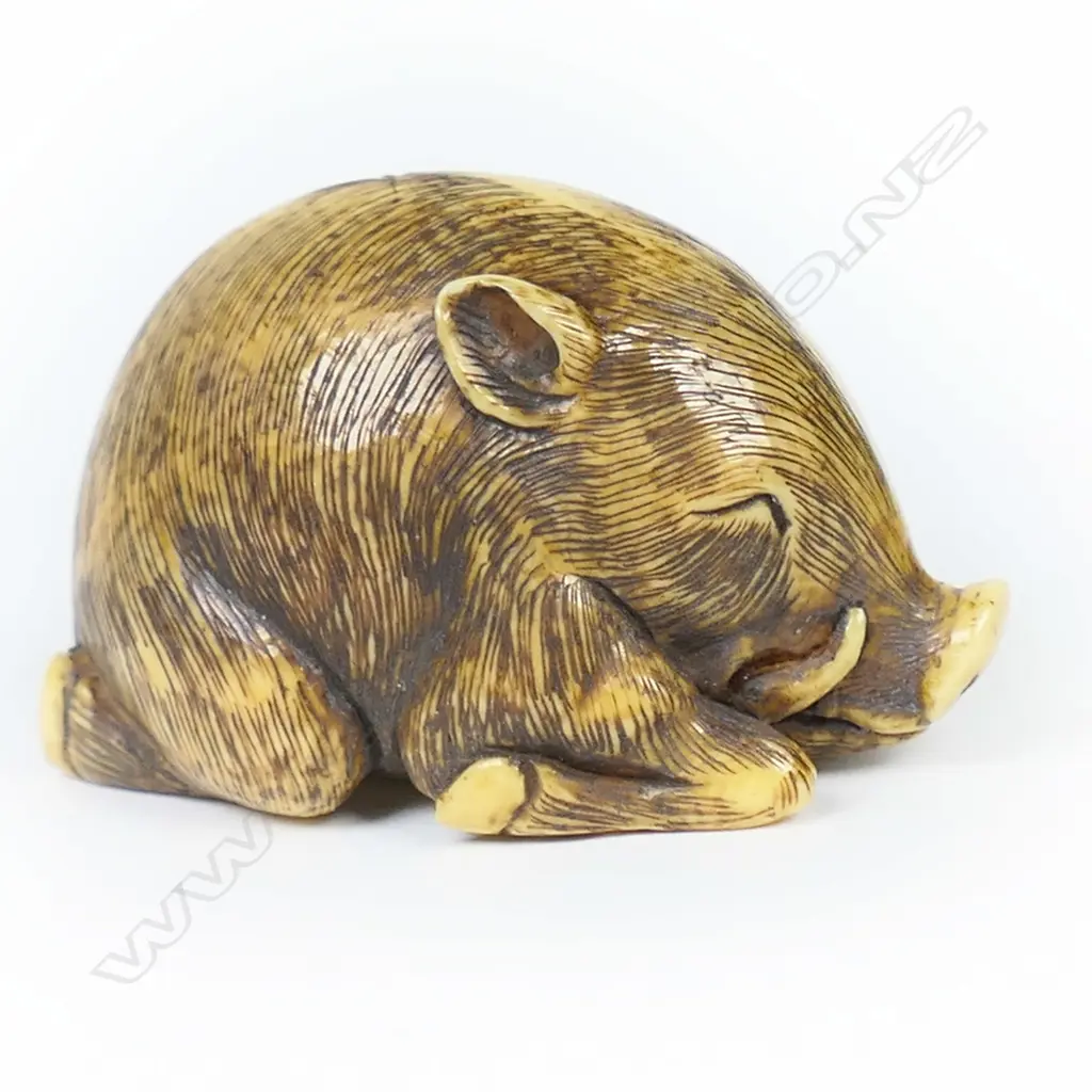 An ivory netsuke study of a sleeping boar, Image 1++