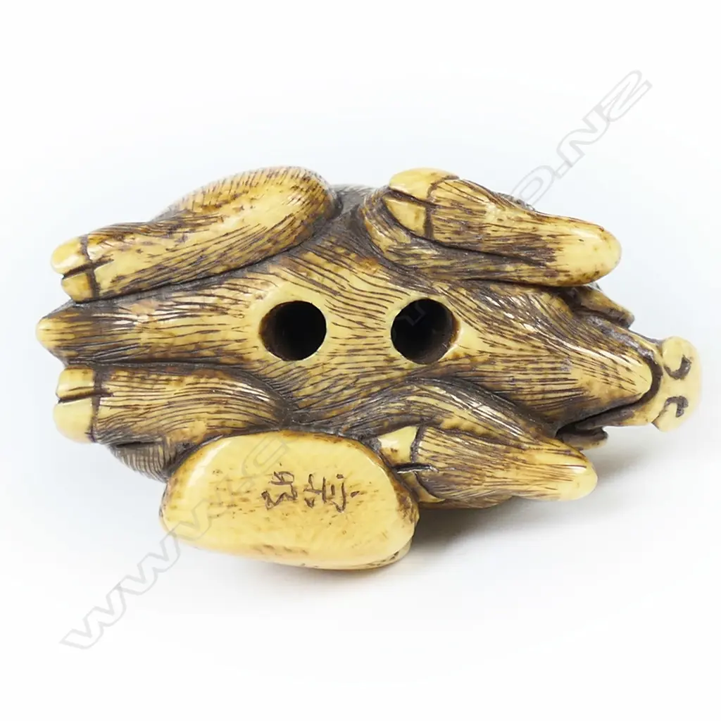 An ivory netsuke study of a sleeping boar, Image 1++