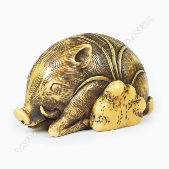 An ivory netsuke study of a sleeping boar,