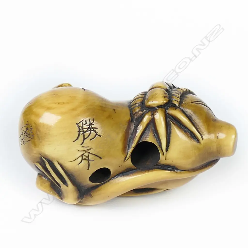An ivory netsuke study, Image 1++