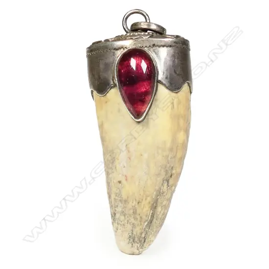 An old small whale’s tooth,