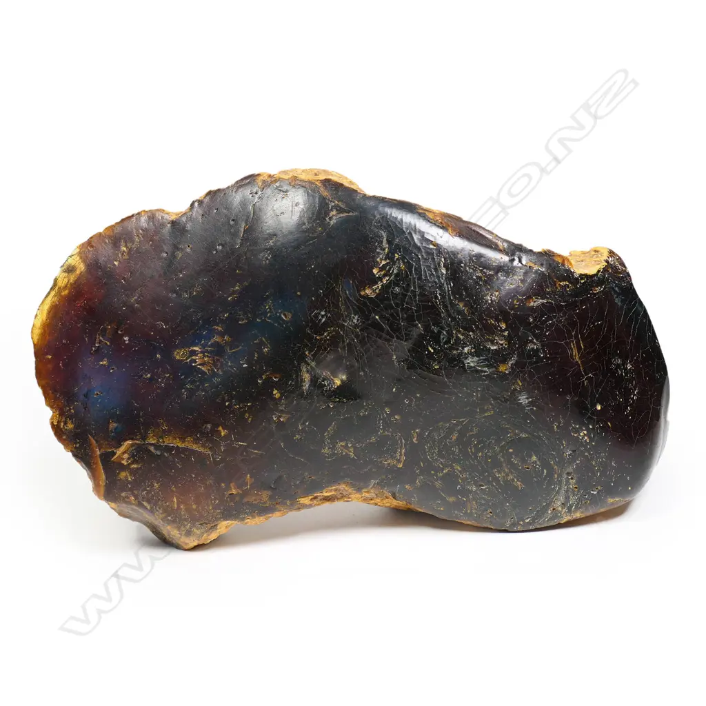 A large Northland kauri gum boulder, Image 1++