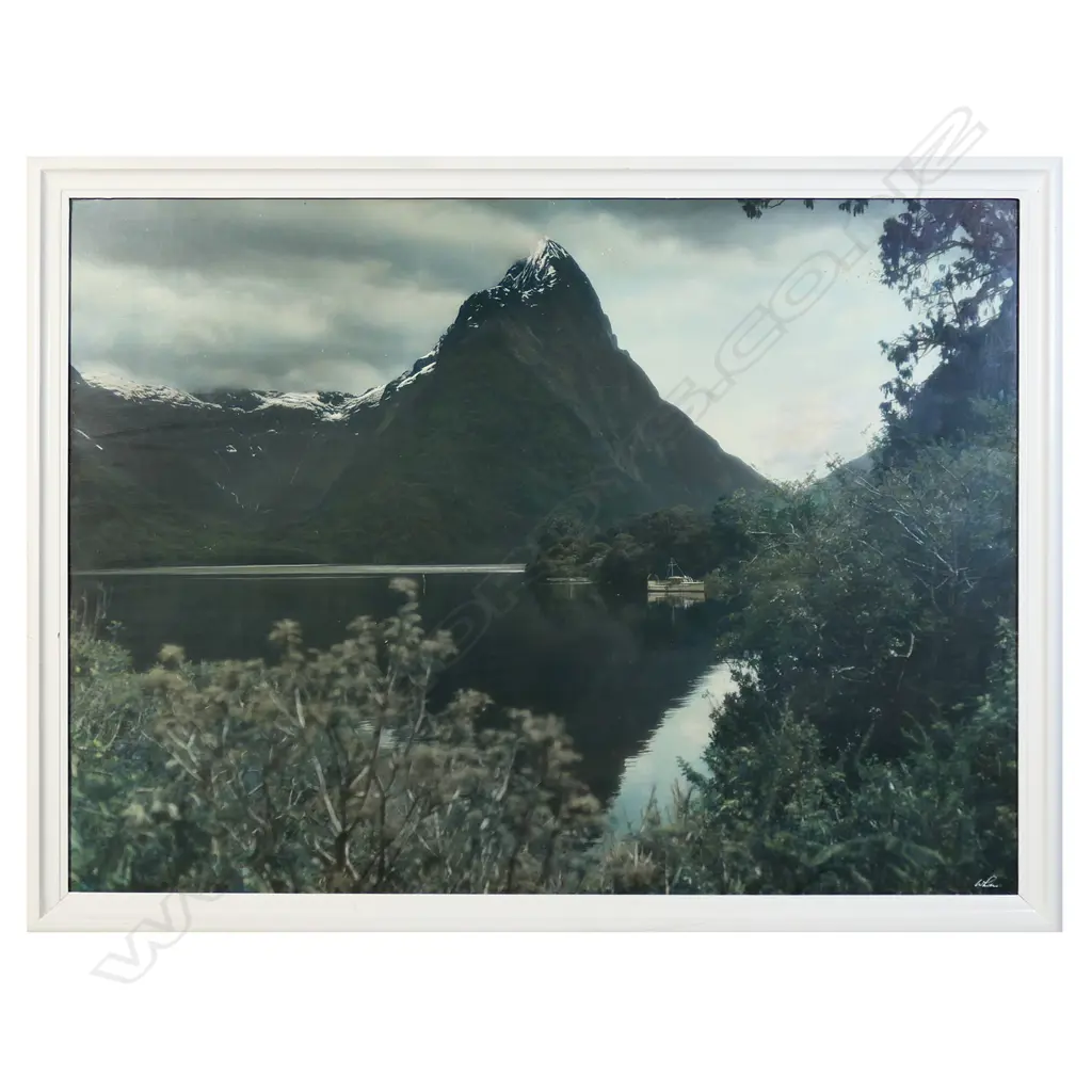 A large vintage Whites Aviation photograph, Image 1++