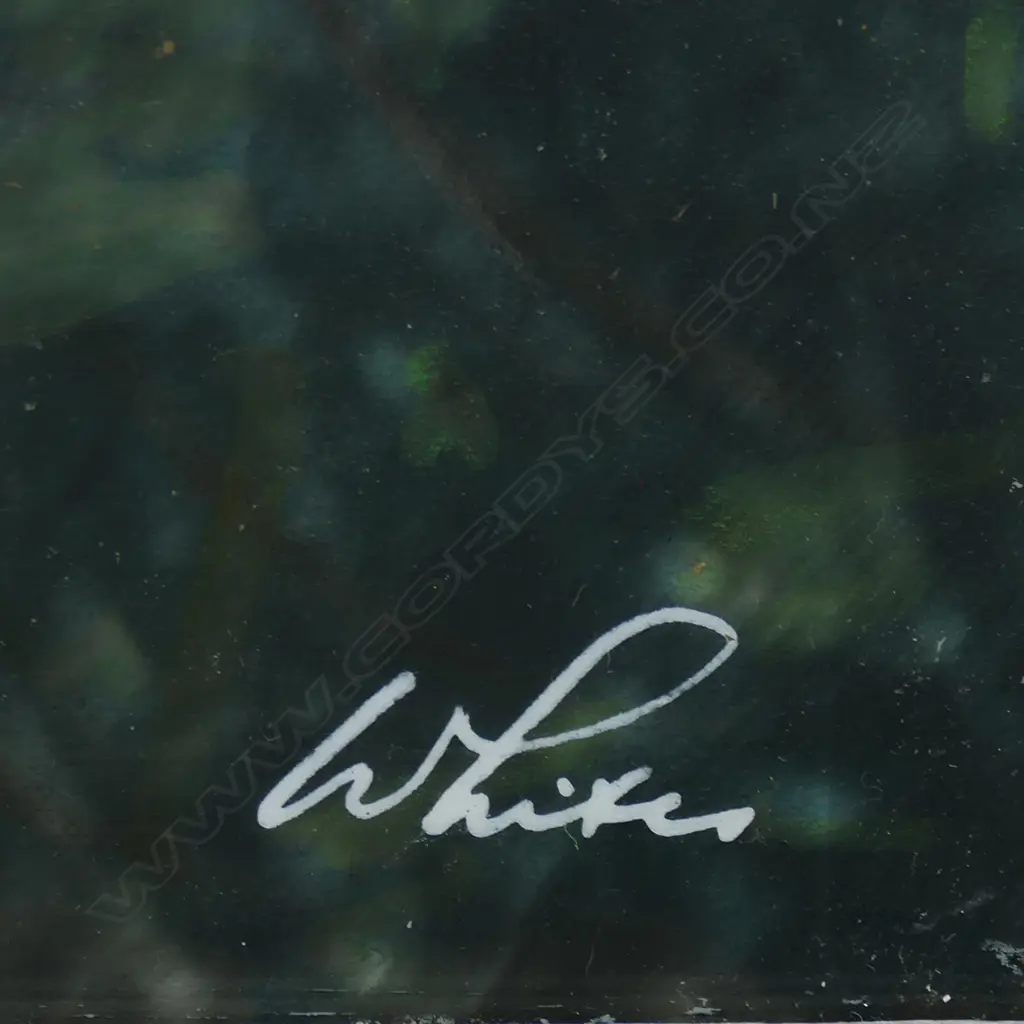 A large vintage Whites Aviation photograph, Image 1++