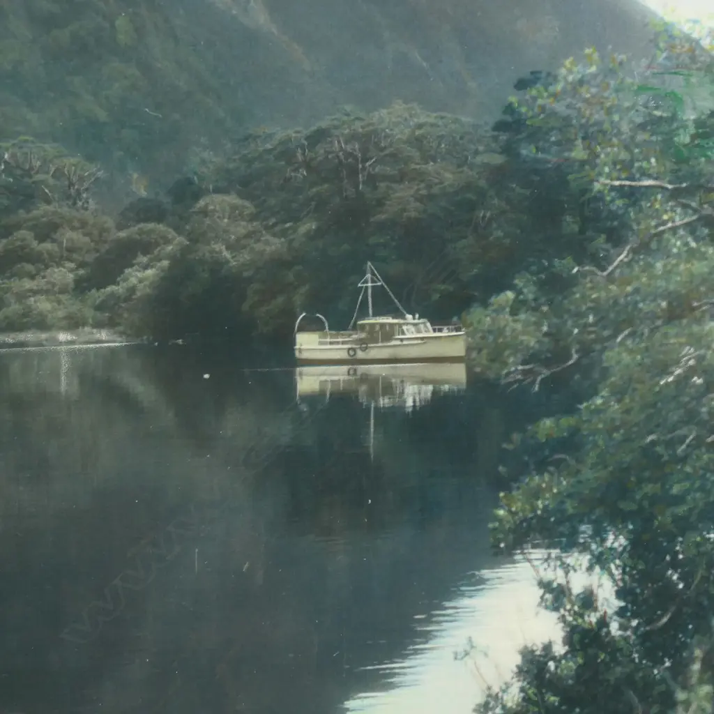 A large vintage Whites Aviation photograph, Image 1++