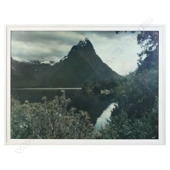 A large vintage Whites Aviation photograph,