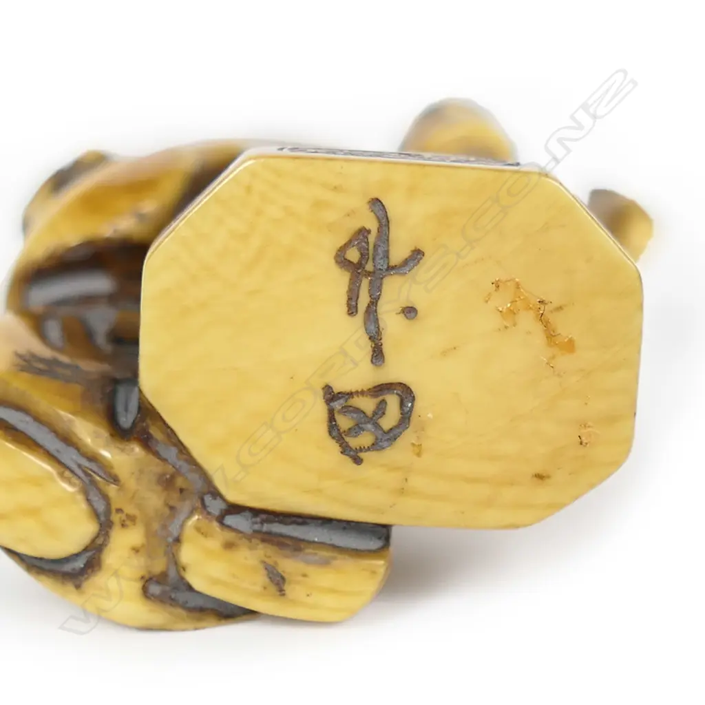 An ivory netsuke study, Image 1++