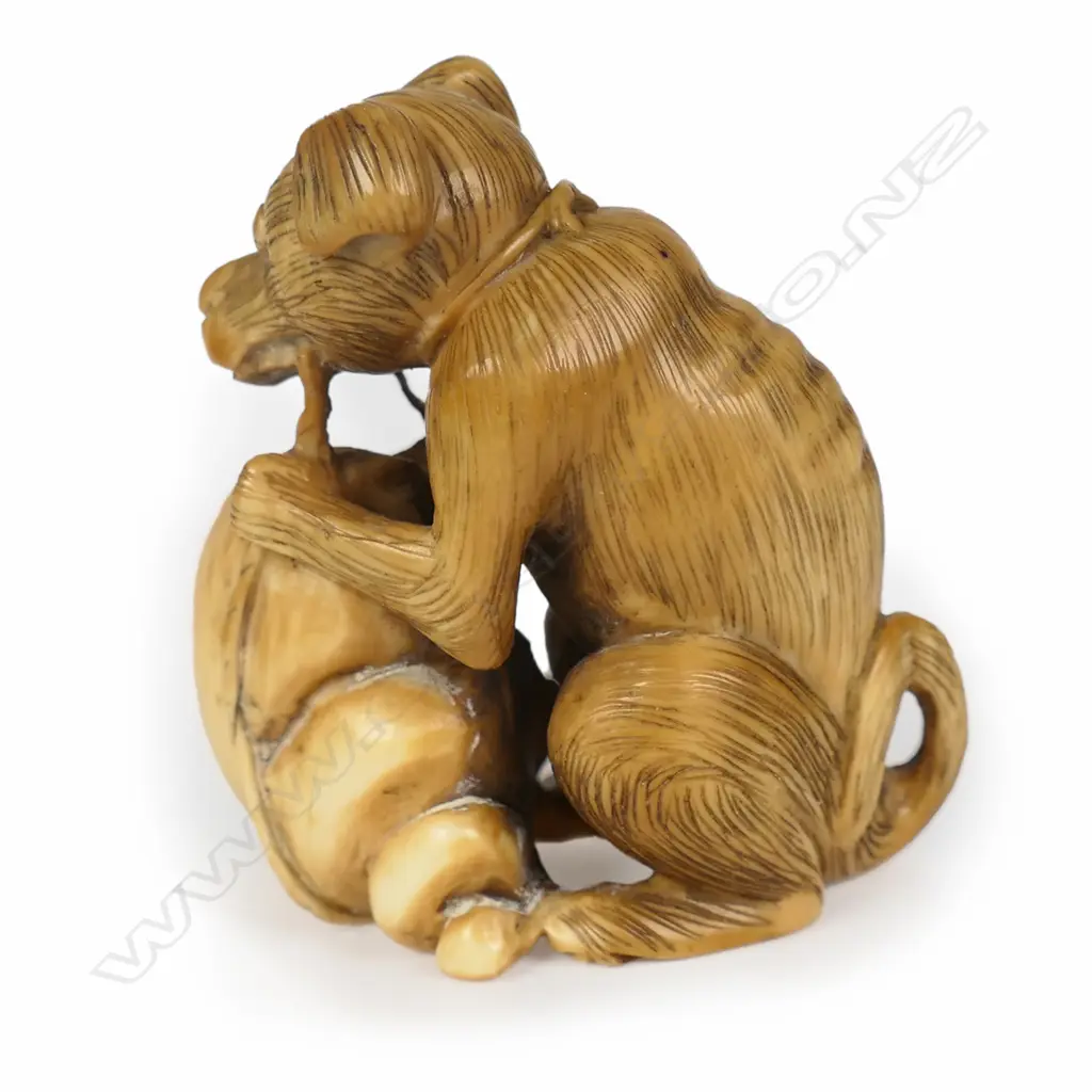 A Meiji Japanese carved and stained ivory netsuke study of an emaciated dog, Image 1++